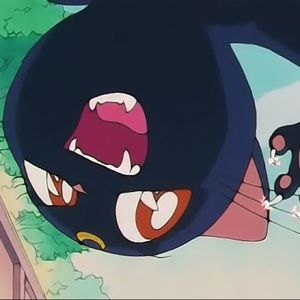 Meet your Posher, Cass